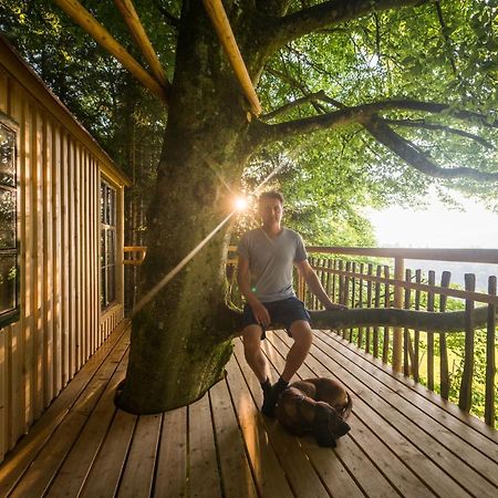 Bed and Breakfast Tierpark Buchenberg Waidhofen an der Ybbs Exterior foto