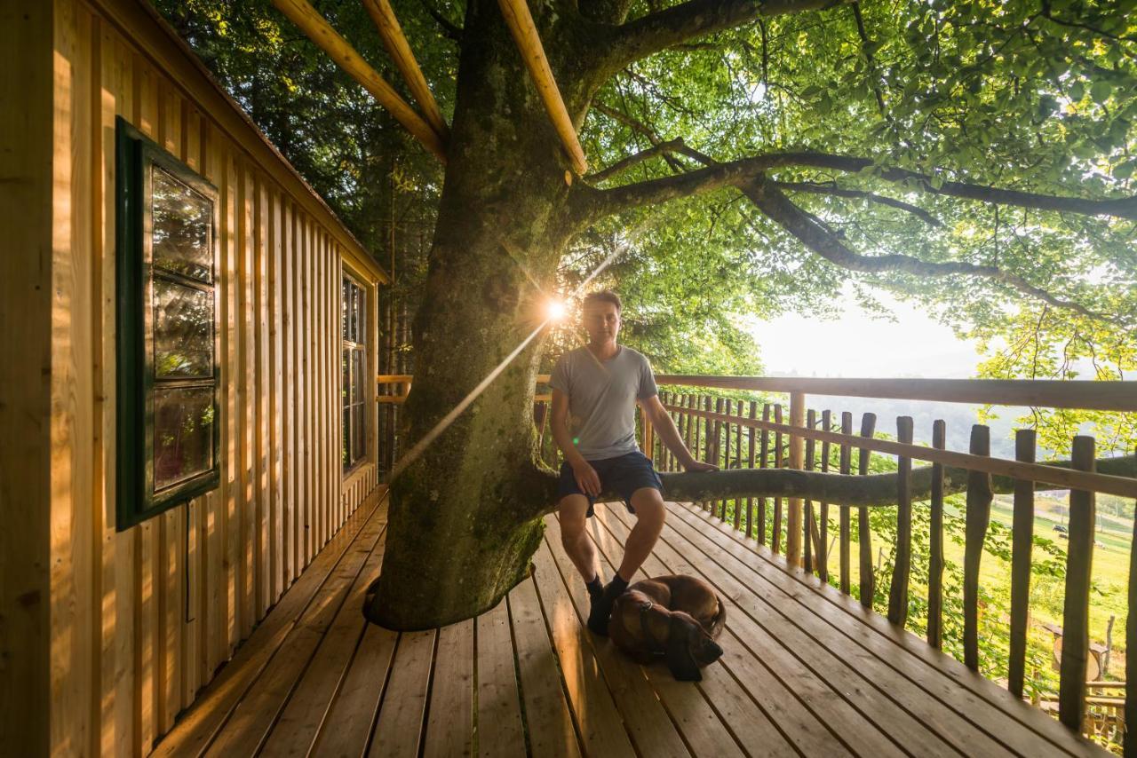 Bed and Breakfast Tierpark Buchenberg Waidhofen an der Ybbs Exterior foto