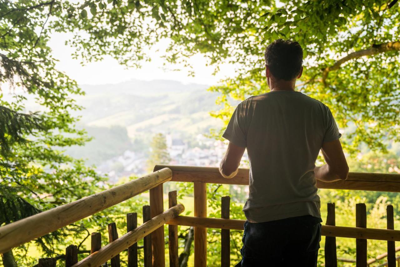 Bed and Breakfast Tierpark Buchenberg Waidhofen an der Ybbs Exterior foto