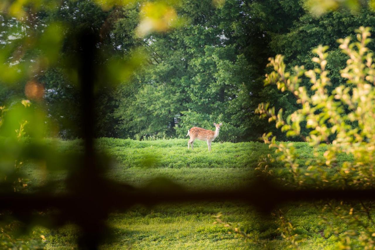 Bed and Breakfast Tierpark Buchenberg Waidhofen an der Ybbs Exterior foto
