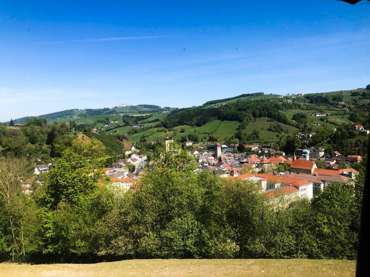 Bed and Breakfast Tierpark Buchenberg Waidhofen an der Ybbs Exterior foto